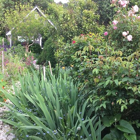 Hahei Kereru Cottage Luaran gambar