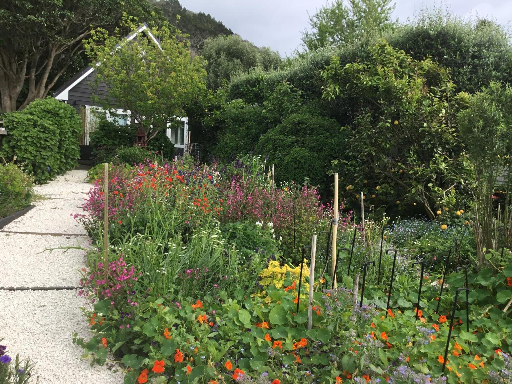 Hahei Kereru Cottage Luaran gambar